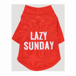 The Essential T-Shirt - LAZY SUNDAY (size: small)