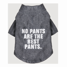 The Essential T-Shirt - No Pants Are The Best Pants (size: small)