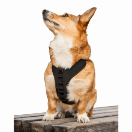 K9 Sport Harness (size: Medium (15-17" Neck 15-21" Chest))