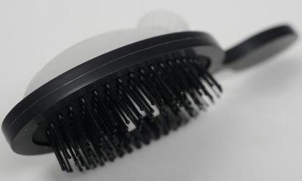 The Benjamin Brush Detangle Bristles (Color: Black)