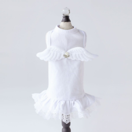 Lil Angel Dress (size: large)