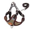 cat harness and leash set