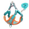 cat harness and leash set