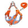 cat harness and leash set