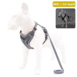 Wholesale dog harness with 1.5m leash (Color: Gray)