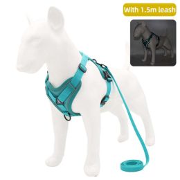 Wholesale dog harness with 1.5m leash (Color: Green)