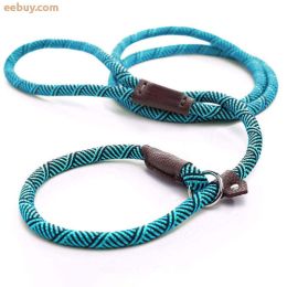 Wholesale Durable Dog Leashes (Color: Blue)