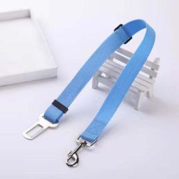 Wholesale pet dog leash harness (Color: sky blue)