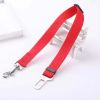 Wholesale pet dog leash harness