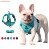 Wholesale dog harness with 1.5m leash